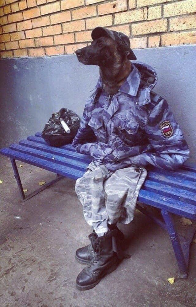 Буч